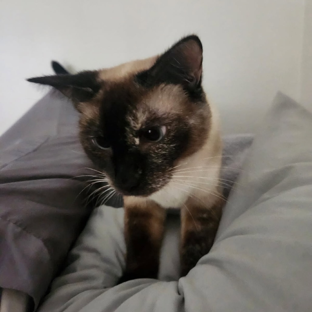 Coco