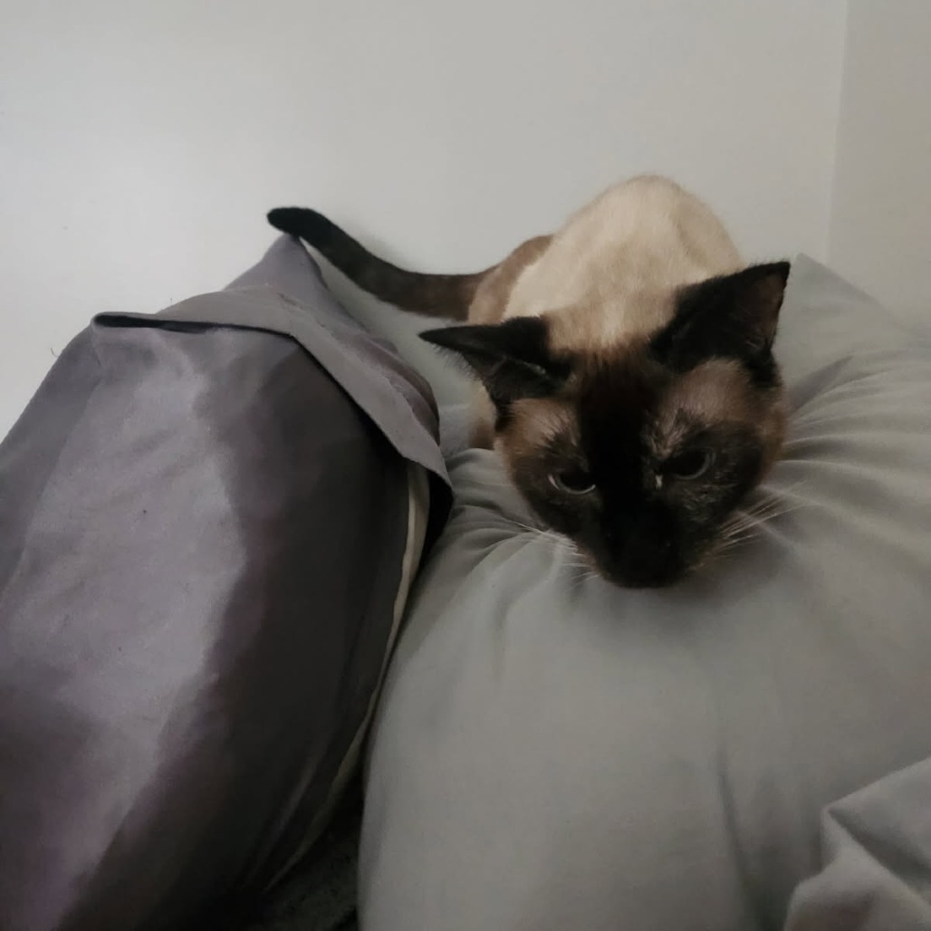 Coco