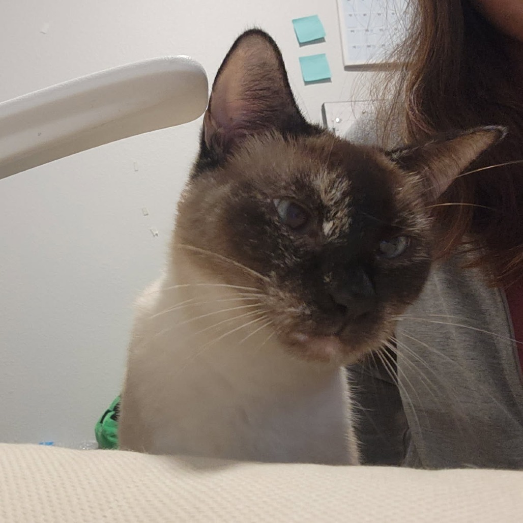 Coco