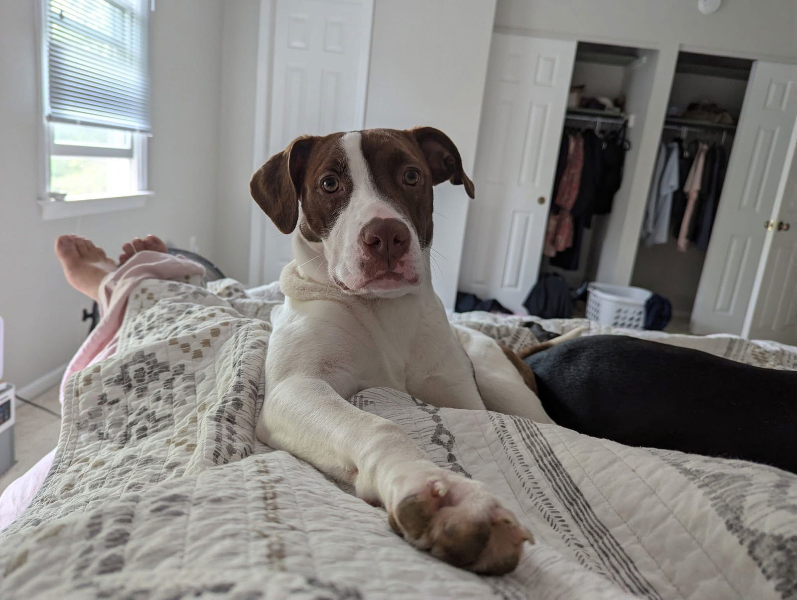 Ruby Lucille