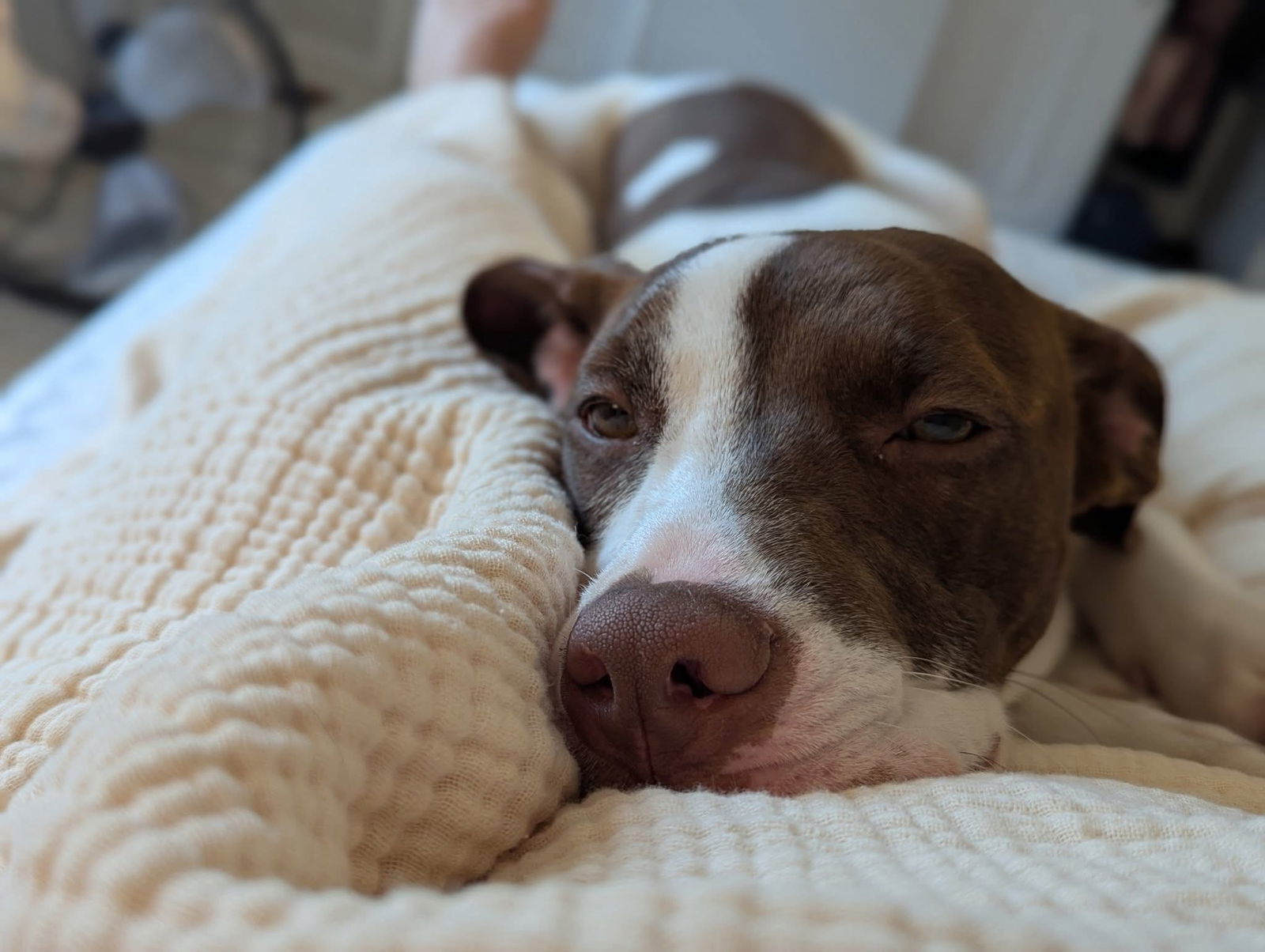 Ruby Lucille
