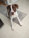 Ruby Lucille photo 3