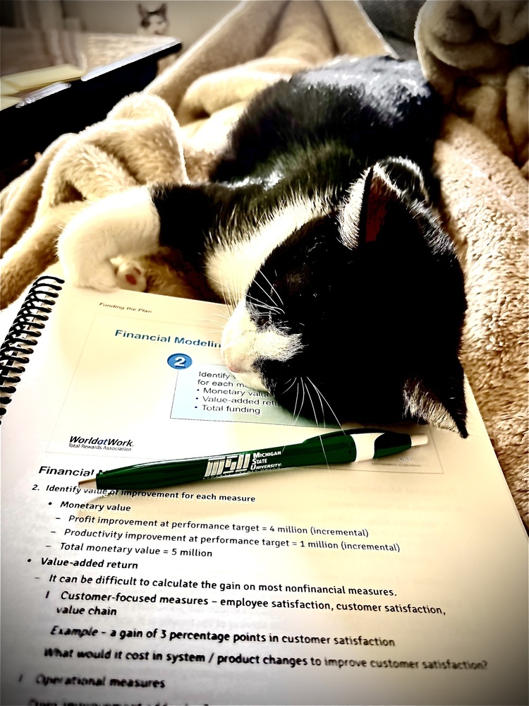 Gizmo (25-058 C)