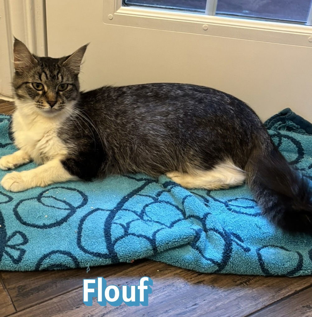 Momma Flouf