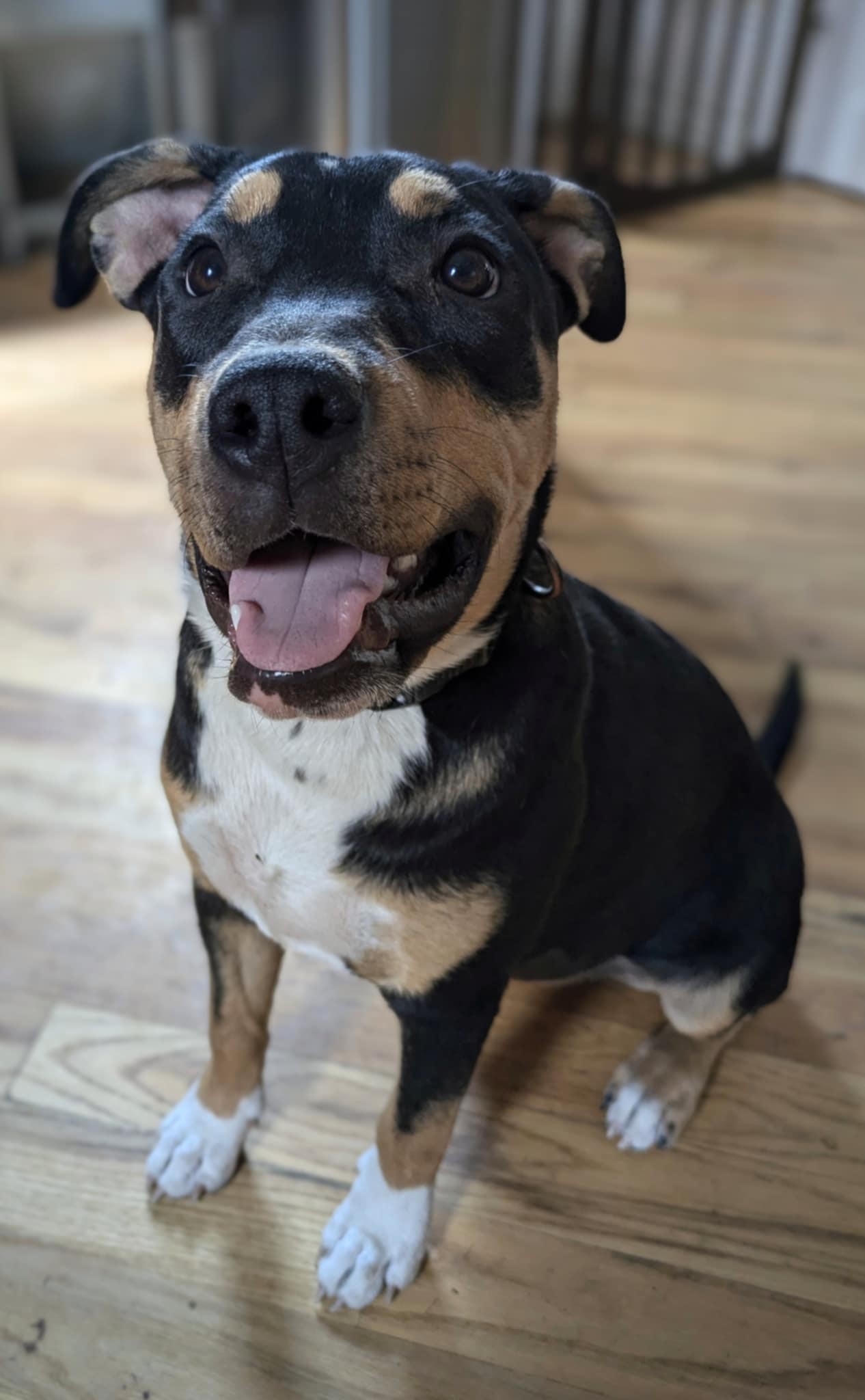 Remy Roo