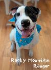 Rocky Mountain Ranger