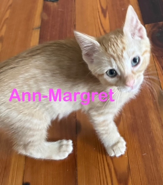 Ann-Margret