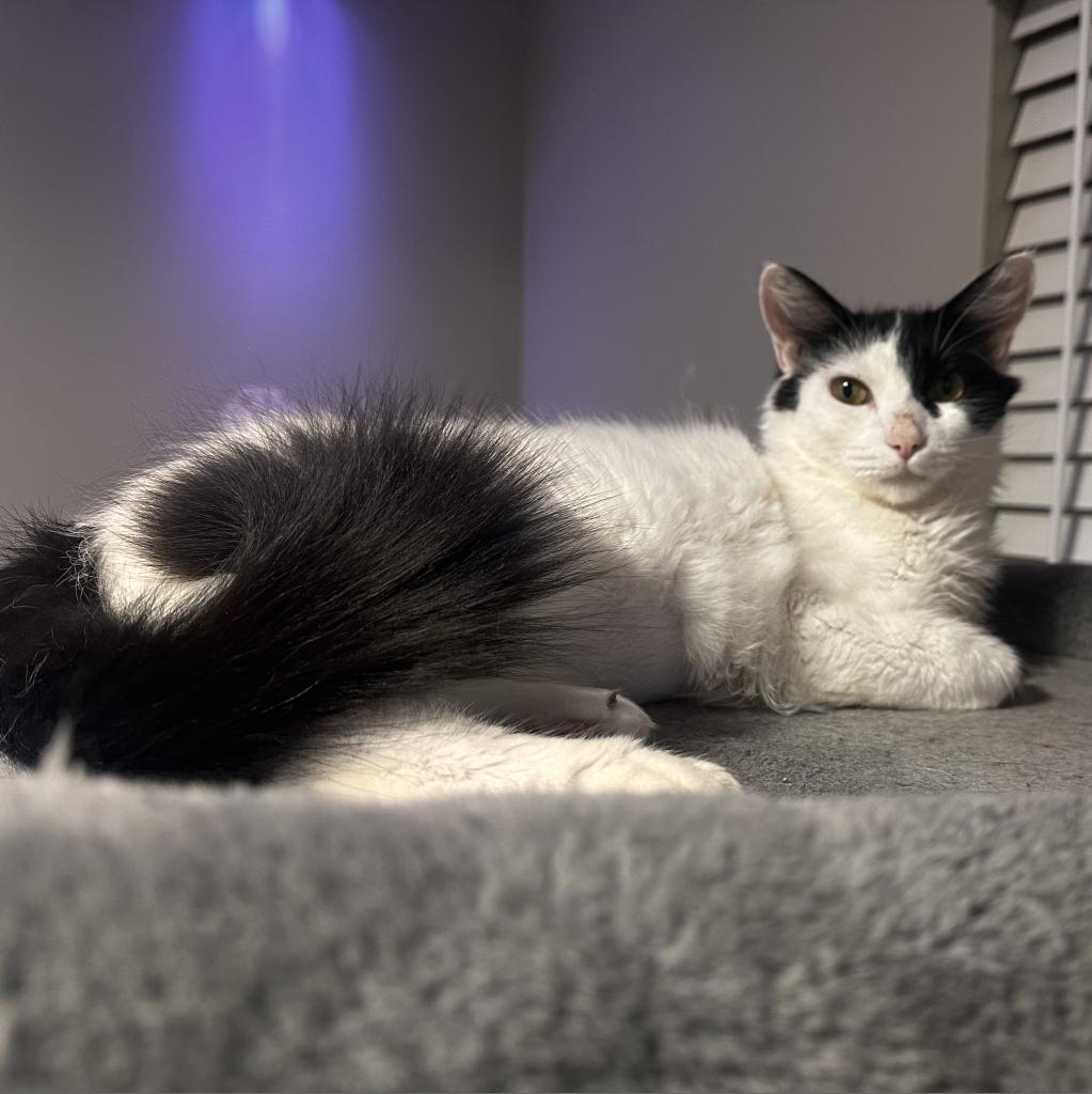 Mila