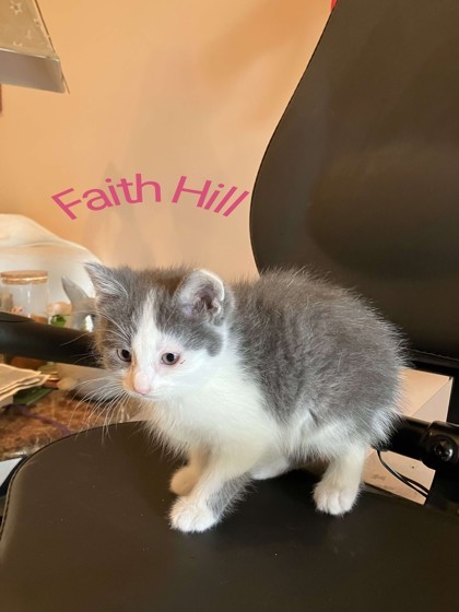 Faith Hill
