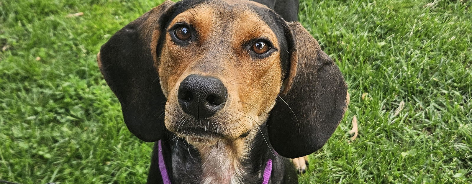 Ellie
