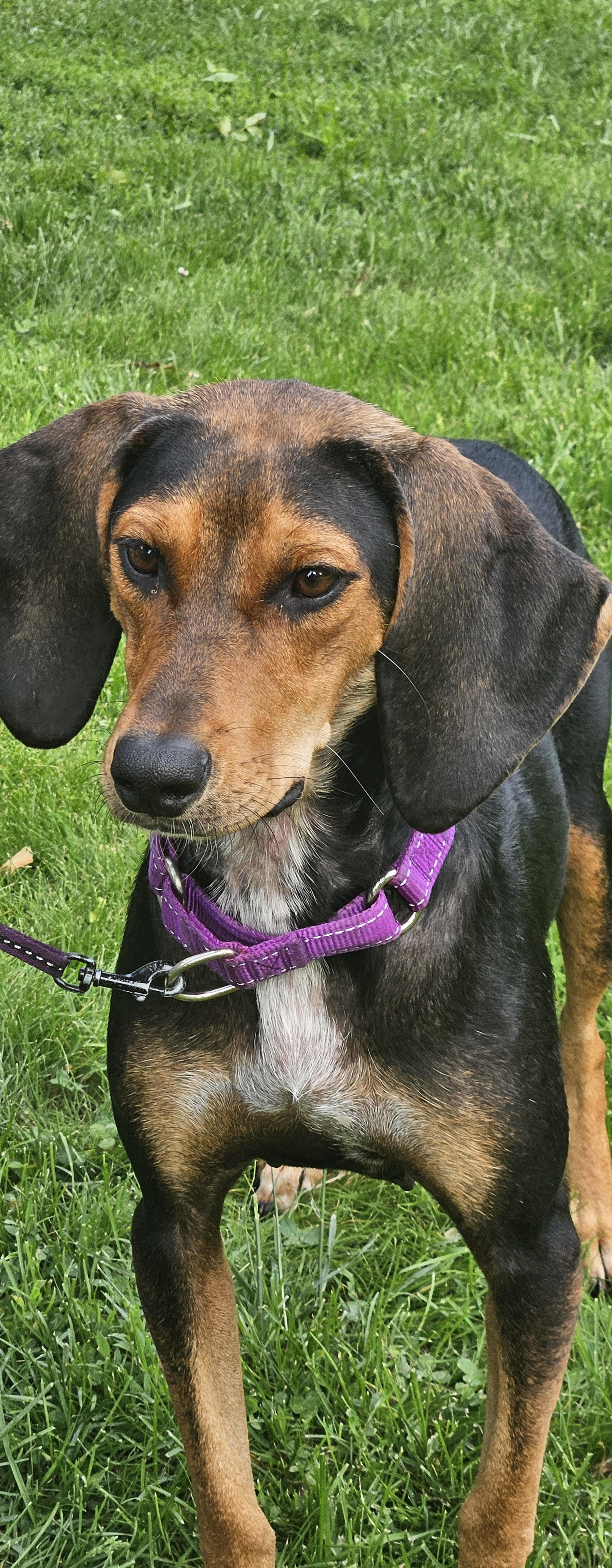 Ellie