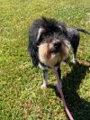 Maxine &#34;Moxie&#34; photo 3
