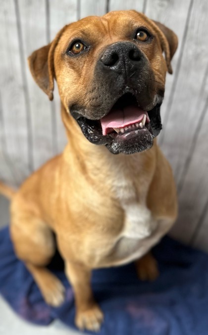 Copper