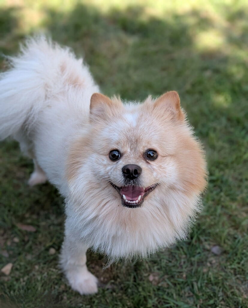 Astro