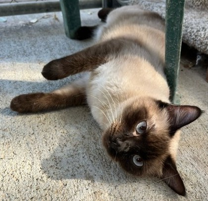 Snow aka Mabel