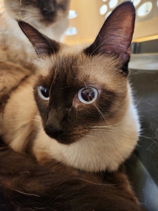 Snow aka Mabel