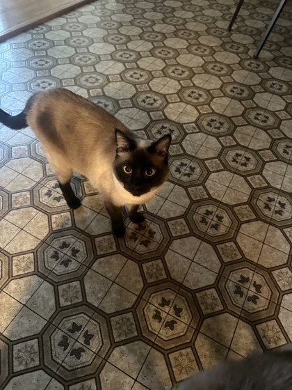 Snow aka Mabel
