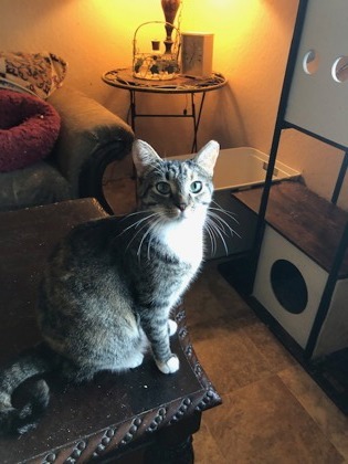 Amanda
