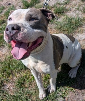 Jack-Happy guy!