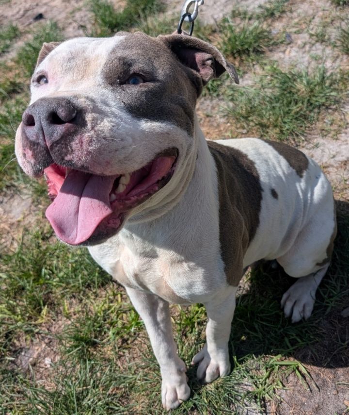 Jack-Happy guy! 1