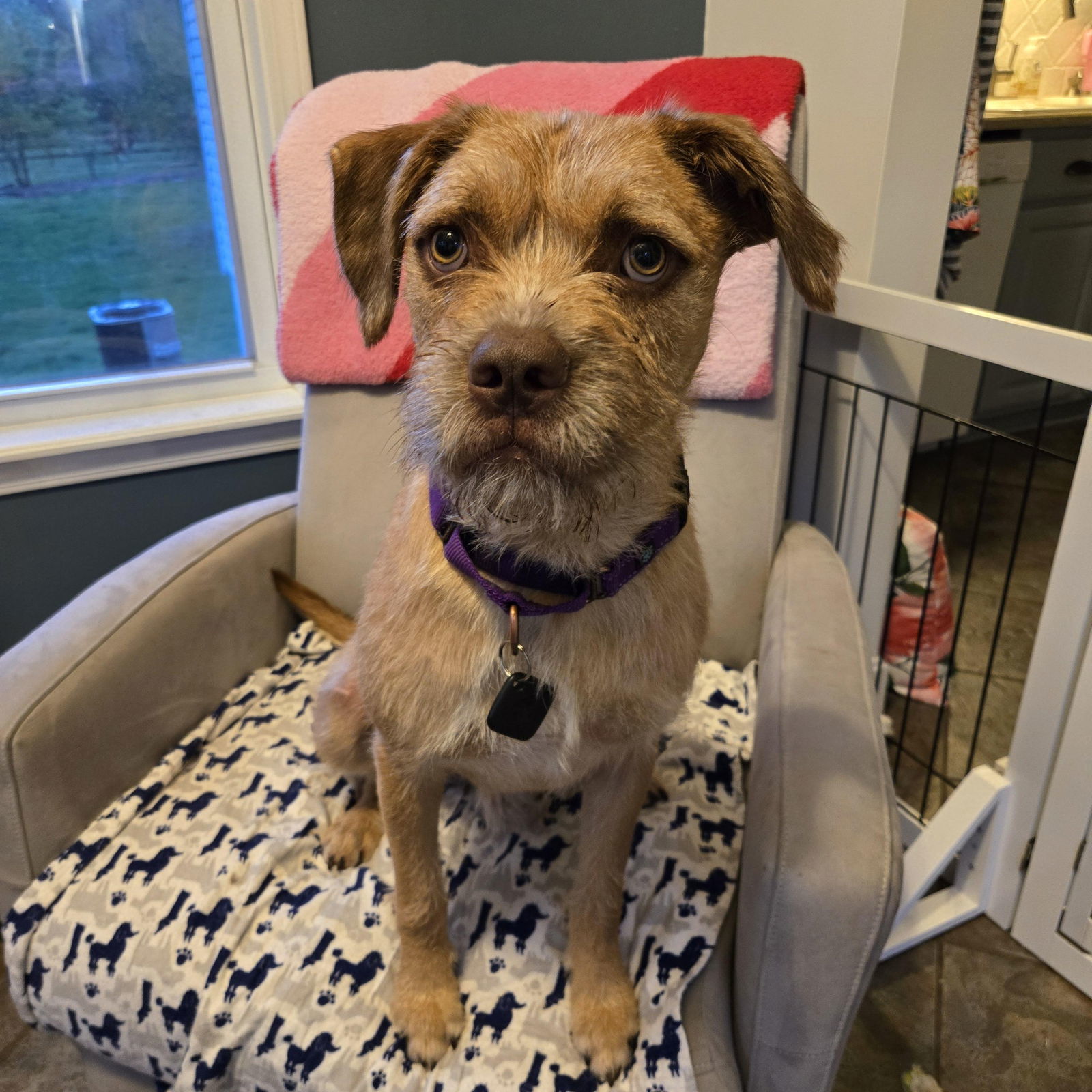 Charley