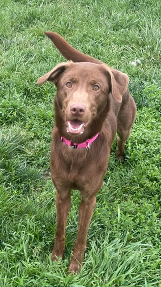 MEEKA