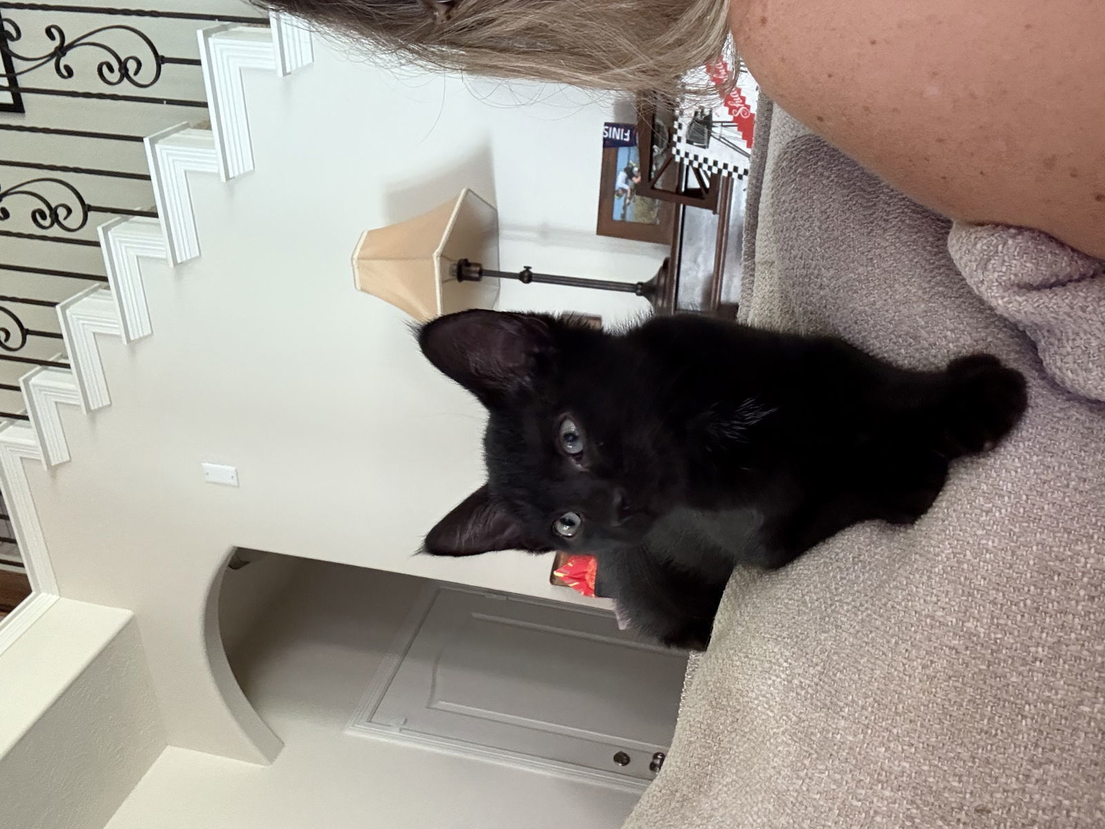 Toothless