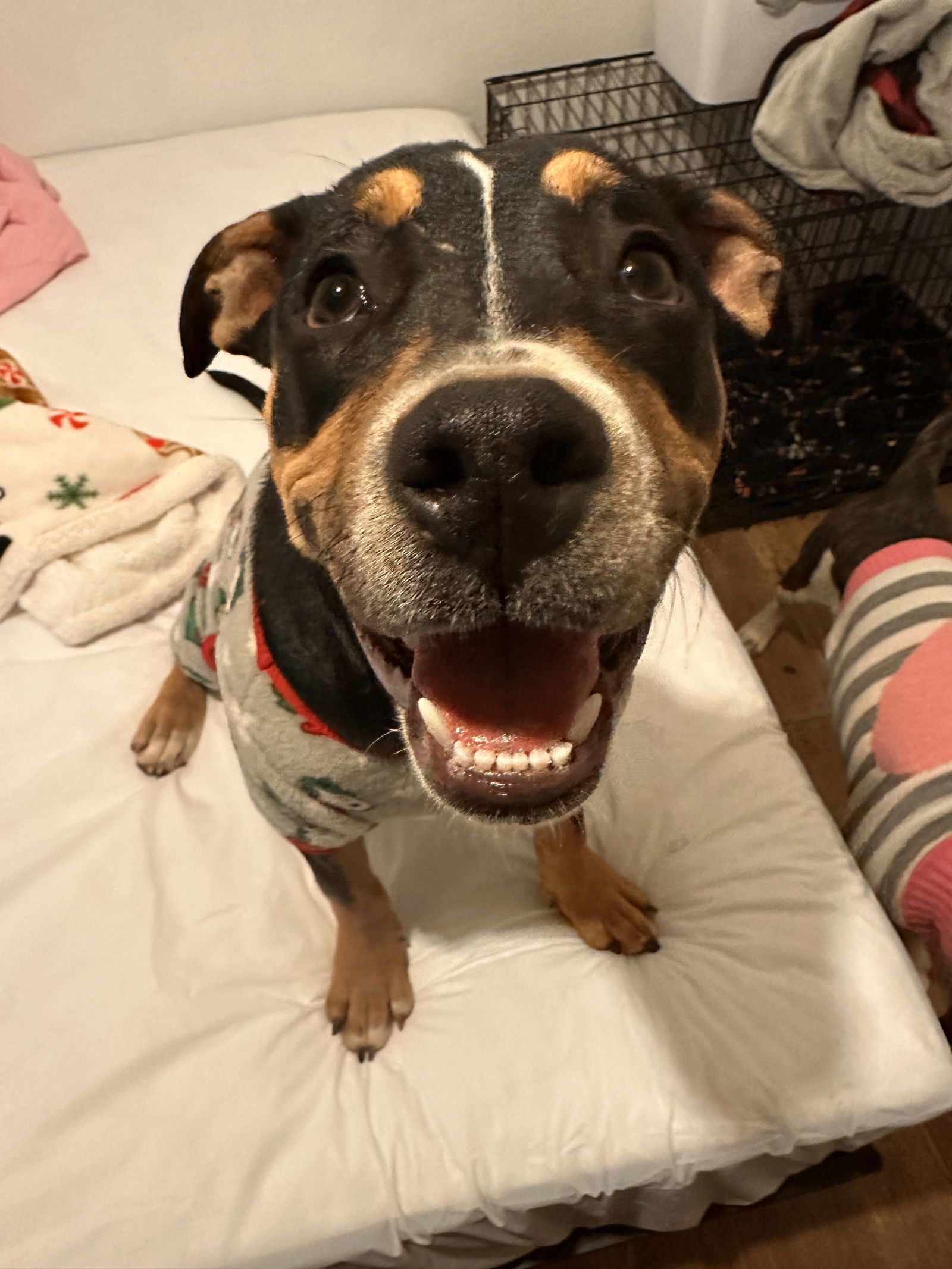 ZYLA