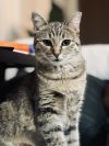 Tiny Tot photo 3