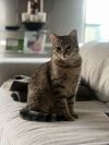 Tiny Tot photo 4