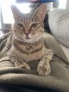 Tiny Tot photo 5