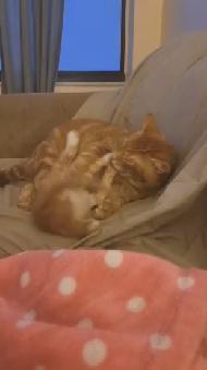 Oliver