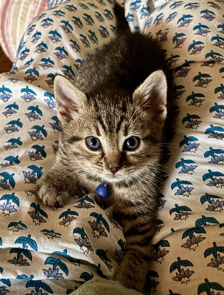 Theodore