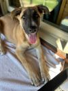 Lola photo 4