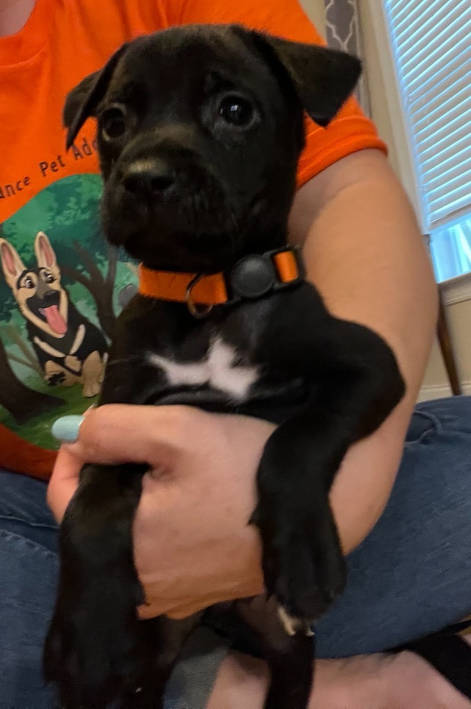 Truffle
