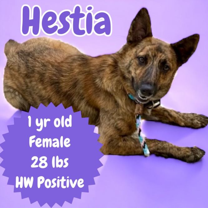 Hestia