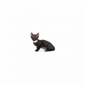 Marigold is a young little girl who is ready for a family of their own All kitt