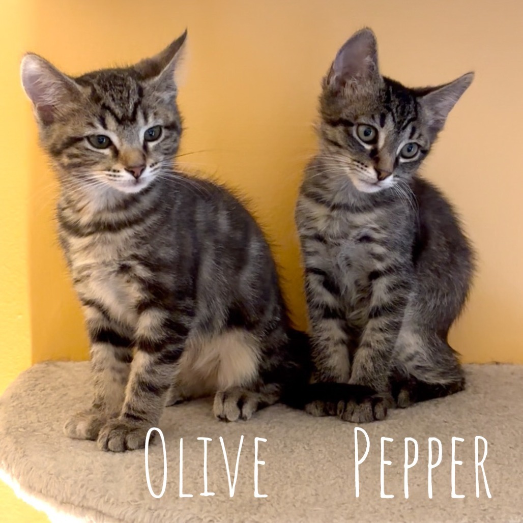 Pepper