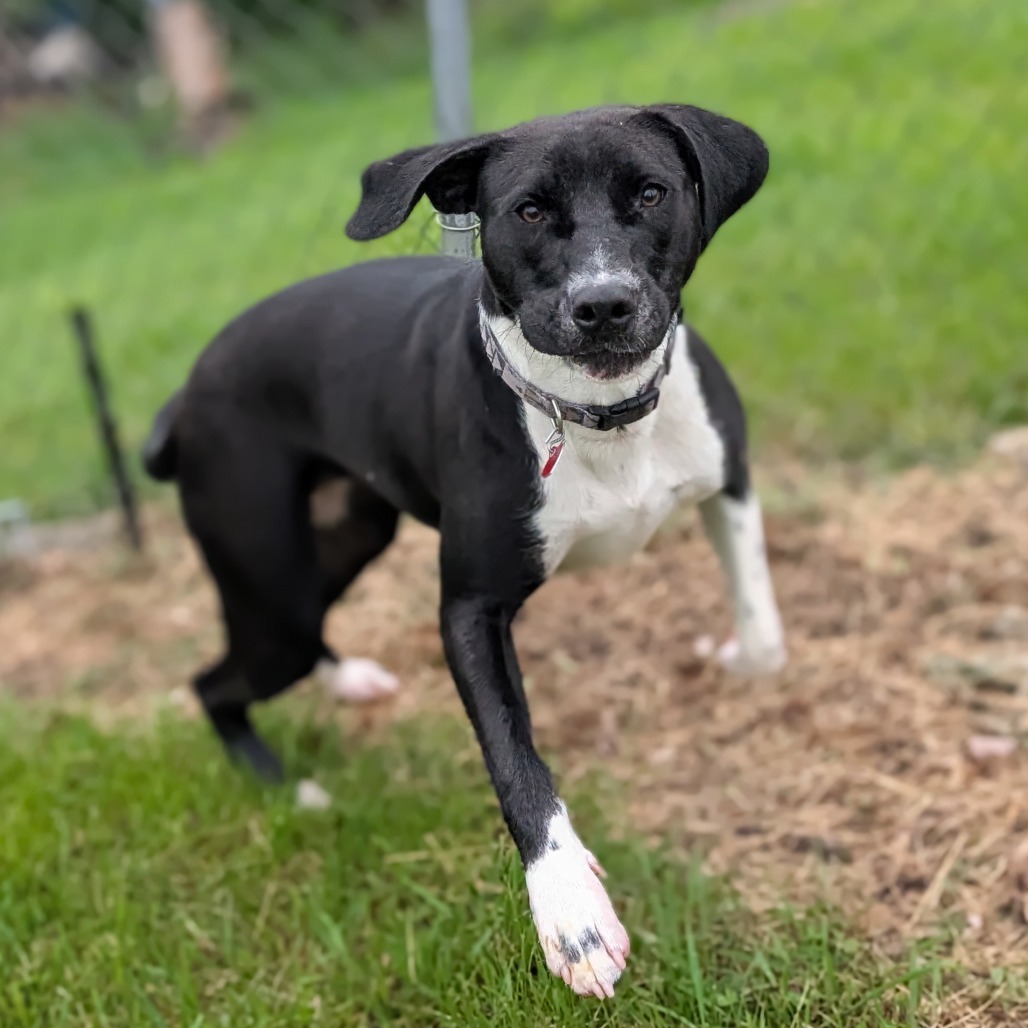 Molly Photo