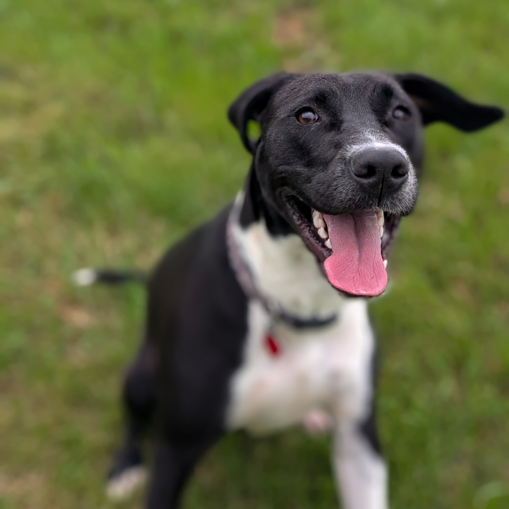 Molly Photo