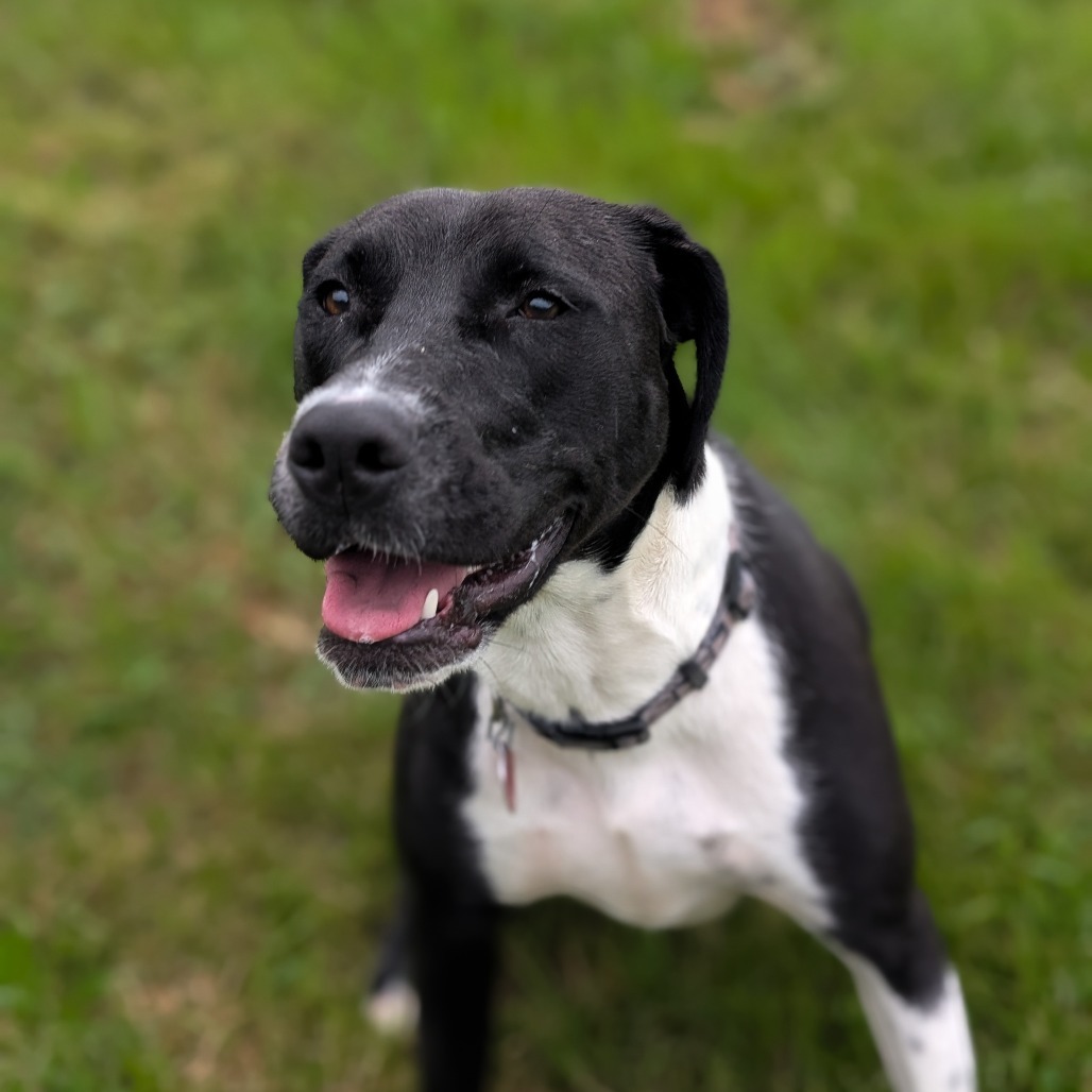 Molly
