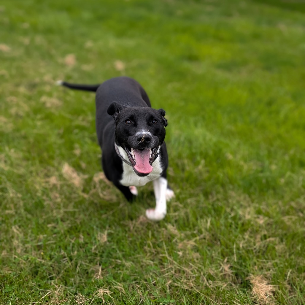 Molly Photo