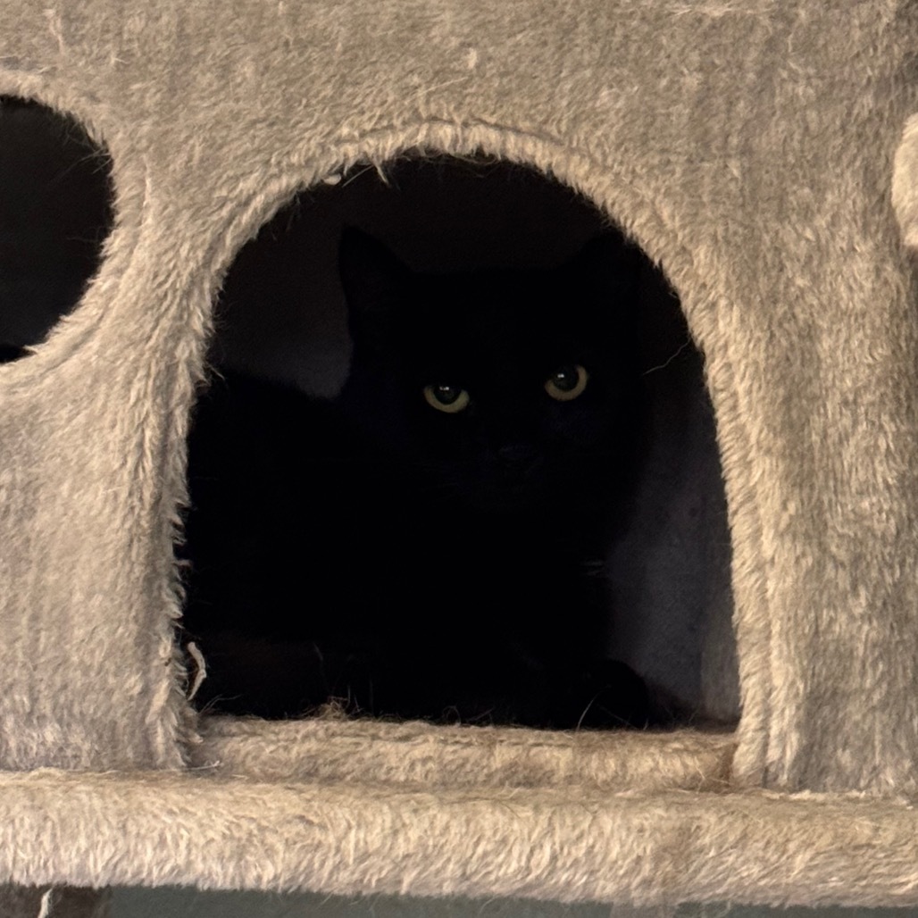 Ella