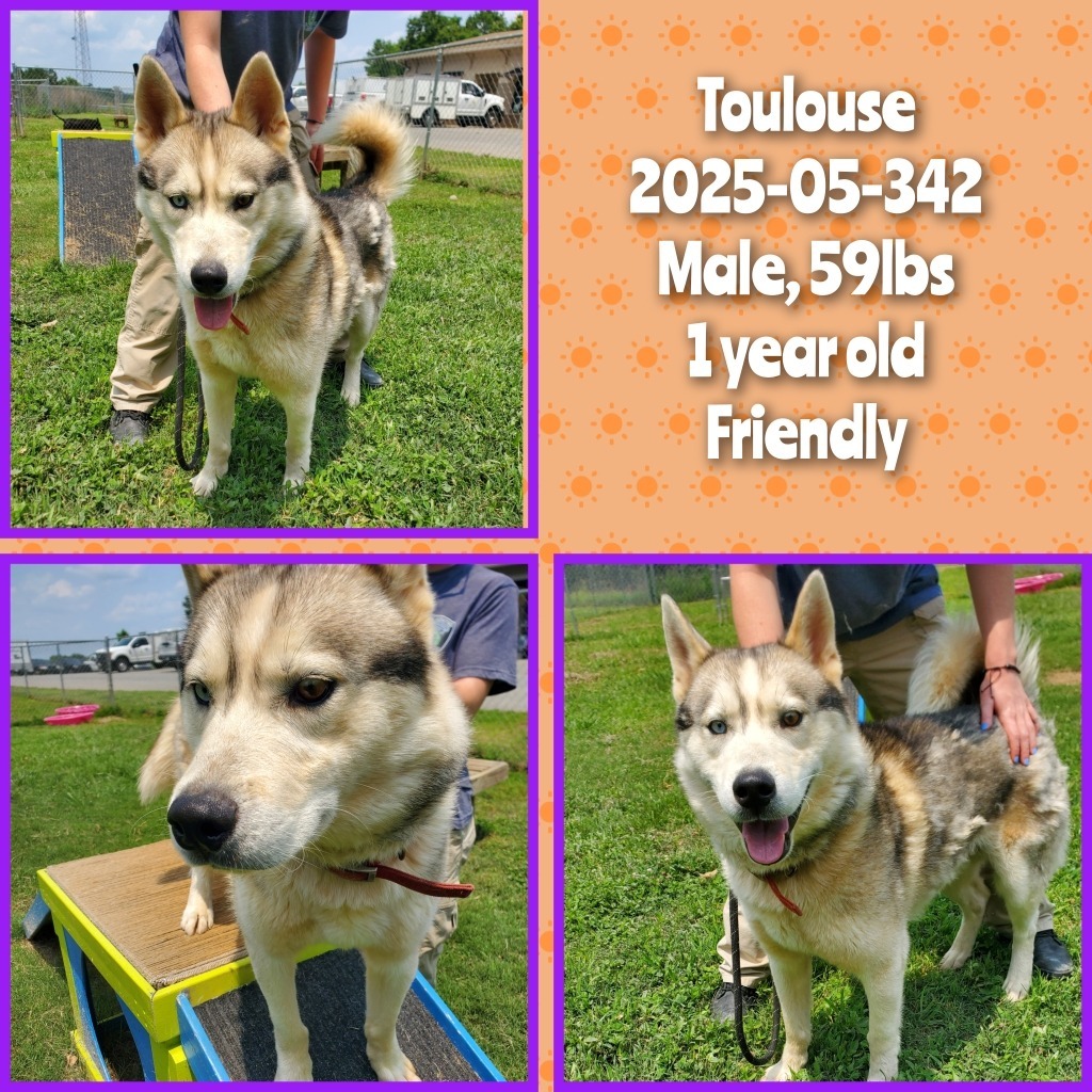 2025-05-342 *Toulouse*