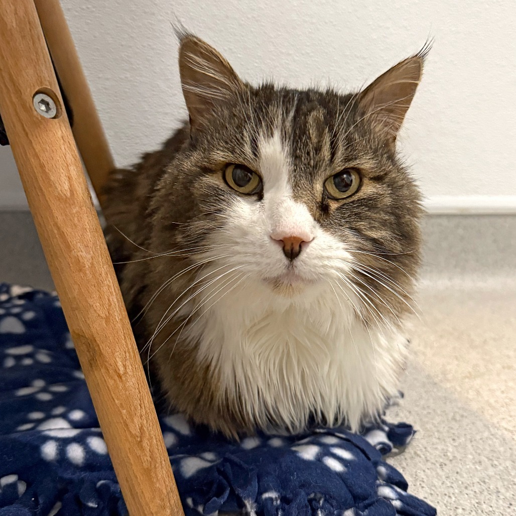 Sebastian