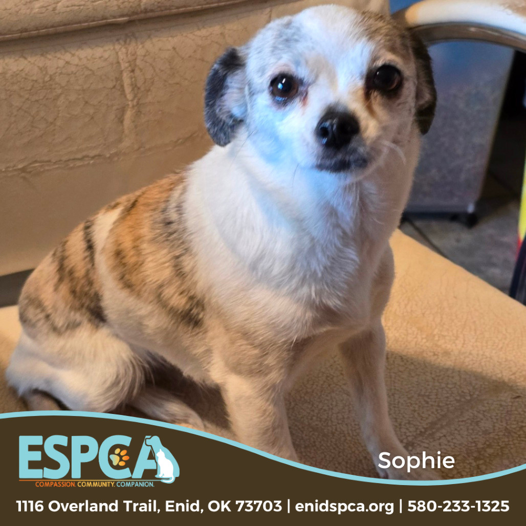 Sophie