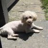 Elmer photo 6