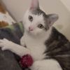 Stinky Stinkerson - Home to Home photo 2