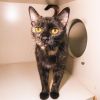 Foster Lilly photo 2