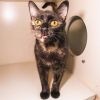 Foster Lilly photo 3
